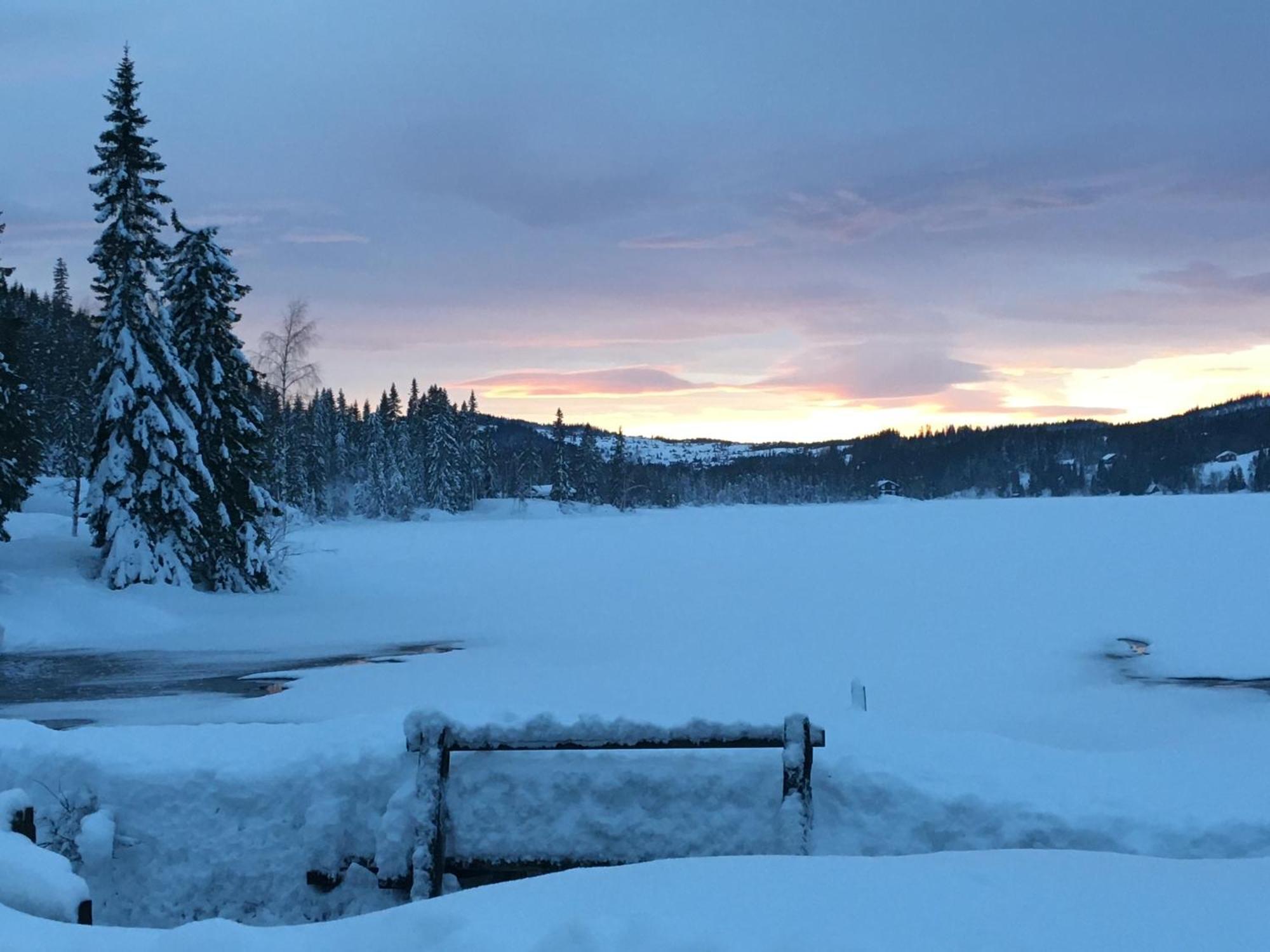 Bed And Breakfast Hadeland Harestua ภายนอก รูปภาพ
